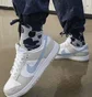 Кроссовки женские Nike Dunk Low White/Grey HF0023-100