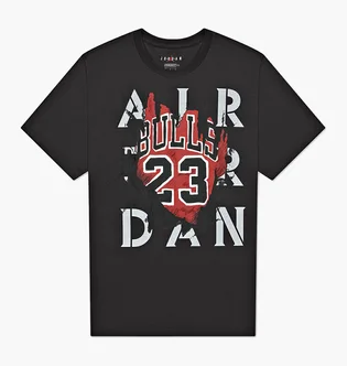 Футболка мужская Air Jordan Mens AJ5 85 Graphic T-Shirts Black DD5259-060