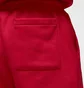 Штани чоловічі Air Jordan Essential Fleece Pants Red FJ7779-687