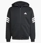 Толстовка мужская Adidas Future Icons 3-Stripes Black JD4827