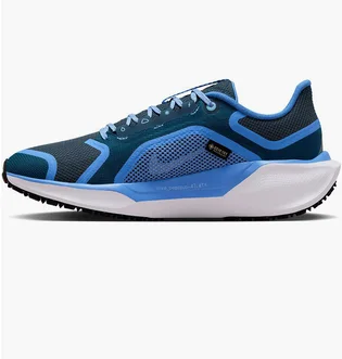 Кросівки жіночі Nike Pegasus 41 Gore Tex Blue FQ1357-400