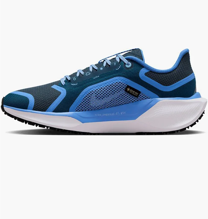 Кросівки жіночі Nike Pegasus 41 Gore Tex Blue FQ1357-400