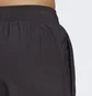 Шорты мужские Adidas Terrex Multi Shorts Black Hm4013