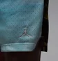 Шорти чоловічі Air Jordan Sprt Mesh Blue HQ8782-009