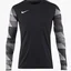 Лонгслів дитячий Nike Jr Dry Park Iv Black Cj6072-010