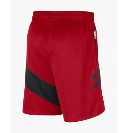 Шорты мужские Nike Toronto Raptors Icon Edition 2020 Nba Swingman Red CN8089-657