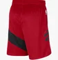 Шорты мужские Nike Toronto Raptors Icon Edition 2020 Nba Swingman Red CN8089-657