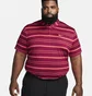 Поло мужское Nike Dri-Fit Tour Striped Golf Polo Violet DR5300-620