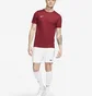 Футболка мужская Nike Park Vii Bordo Bv6708-677