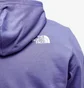 Худи мужское The North Face Standard Hoodie Violet NF0A3XYDI0D