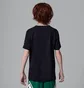 Футболка детская Air Jordan Embroidery Black 95D634-023