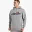 Худи мужское Ellesse Sl Gottero Oh Hoody Grey SHC07407-112