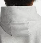 Худі жіноче Nike Sportswear Phoenix Fleece Over-Oversized Hoodie Grey Dq5858-063