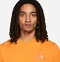 Футболка чоловіча Air Jordan Jumpman 3D Orange Dh8966-738