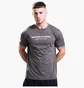 Футболка мужская Weekend Offender Steinbeck Grey WOSTS587-GREY