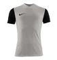 Футболка чоловіча Nike Tiempo Prem Ii Jsy Ss Grey DH8035-052