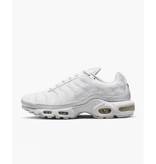 Кроссовки мужские Nike Air Max Plus White Aj2029-100