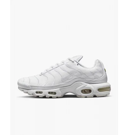 Кроссовки мужские Nike Air Max Plus White Aj2029-100