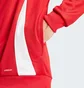 Олимпийка мужская Adidas Tiro 24 Training Jacket Red IR7499