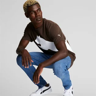 Футболка мужская Puma Oversized Logo Tee Brown 588544-63