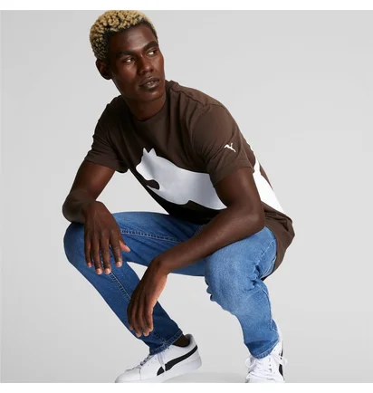 Футболка мужская Puma Oversized Logo Tee Brown 588544-63
