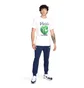 Футболка мужская Nike Psg Nk Hm Field Ss White FV8559-121