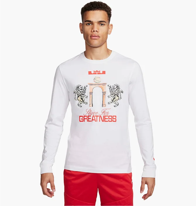 Лонгслив мужской Nike Lebron Long-Sleeve T-Shirt White FQ4908-100