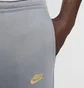 Штани чоловічі Nike Sportswear Tech Fleece Grey FZ4710-065