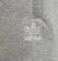 Шорты детские Adidas Originals Adicolor Grey HD2062