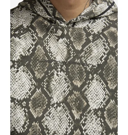 Худи мужское Air Jordan Hoodie Snakeskin Multi/Grey HF9894-133