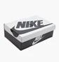 Кросівки чоловічі Nike Dunk Low Retro Se Black/White HQ1965-100