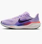 Кроссовки женские Nike Pegasus 41 Road Running Violet FD2723-503