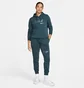 Штаны женские Nike Ns Club Flc Shine Mr Pant Blue FB8760-328