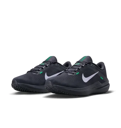 Кроссовки мужские Nike Air Winflo 10 Blue DV4022-004