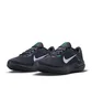 Кроссовки мужские Nike Air Winflo 10 Blue DV4022-004