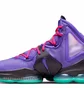 Кроссовки унисекс Nike Lebron Xix Dj Bron Violet Cz0203-500