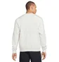 Свитшот мужской Air Jordan Statement Essentials Graphic White DH9035-141