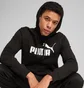 Спортивный костюм мужской Puma Essentials No. 1 Logo Black 682570-01__682606-01
