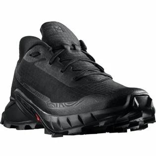 Кроссовки мужские Salomon Alphacross 5 Black 473131