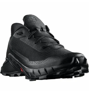 Кроссовки мужские Salomon Alphacross 5 Black 473131