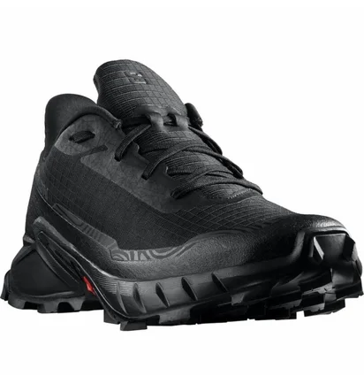 Кроссовки мужские Salomon Alphacross 5 Black 473131