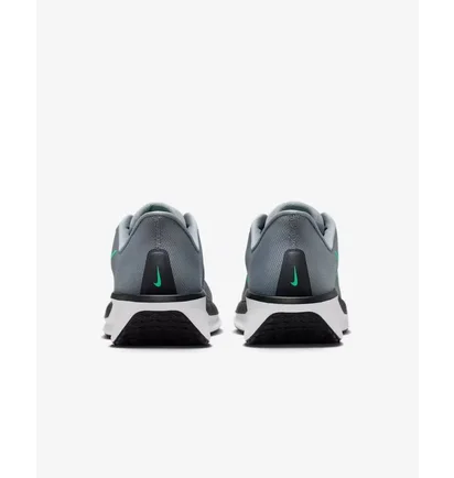 Кросівки чоловічі Nike Quest 6 Grey FD6033-009