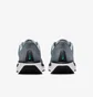 Кросівки чоловічі Nike Quest 6 Grey FD6033-009