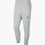 Штаны мужские Nike Dry Pants Taper Fleece Gray Cj4312-063