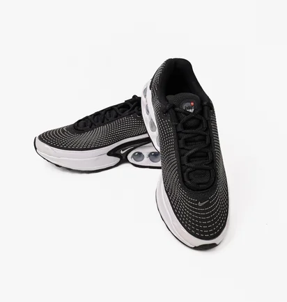 Кросівки жіночі Nike Air Max Dn Black/White FJ3145-002