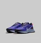 Кроссовки женские Nike Pegasus Trail 3 Blue Da8698-401