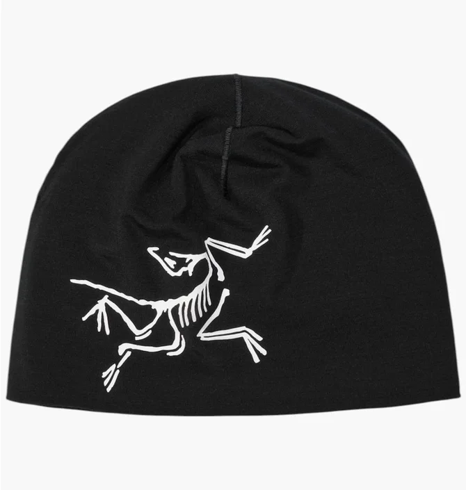   Arctic Disc Toque ブラック ᐉ Шапка унісекс Arc'teryx Satoro Merino Toque Black X000009936