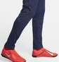 Штани дитячі Nike Park 20 Knit Pant Blue Bv6902-451