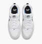 Кросівки унісекс Nike Sb Alleyoop Skate Shoes White CJ0882-100