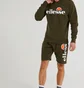 Свитшот мужской Ellesse Sl Succiso Sweatshirt Green SHC07930-506